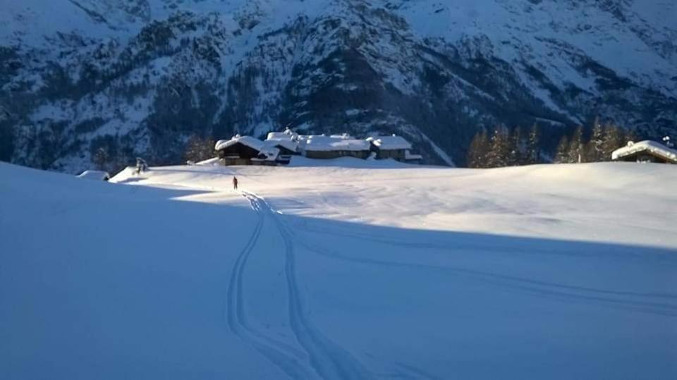Chalet Le Lis Valtournenche Exterior photo