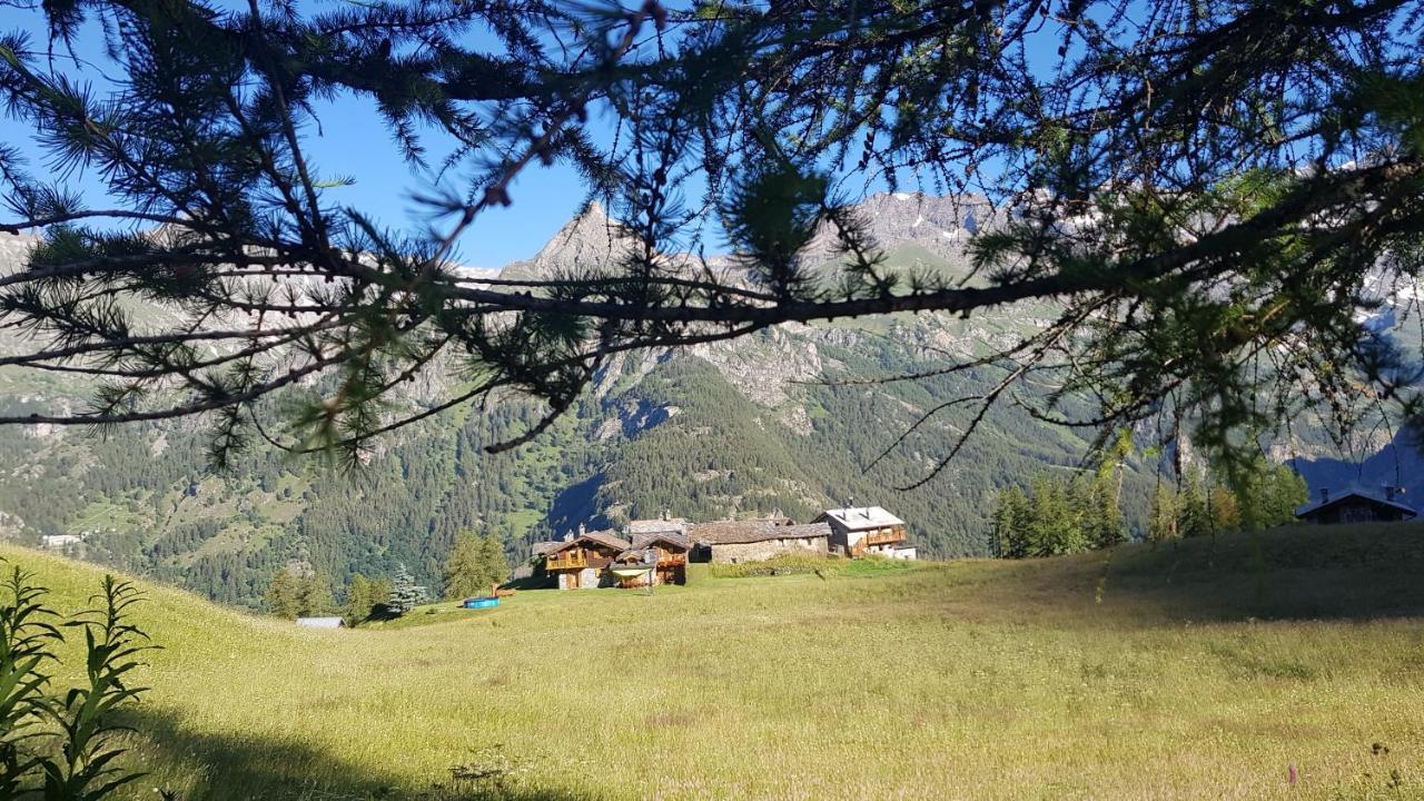Chalet Le Lis Valtournenche Exterior photo
